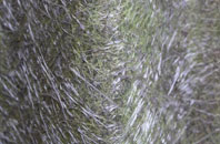 Old Cornhill fibreglass roof work